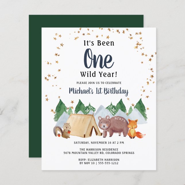 Rustic Woodland Wild One 1st Birthday Party Invita (Front/Back)