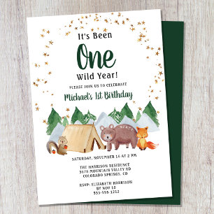 Rustic Woodland Wild One 1st Birthday Party Invitation