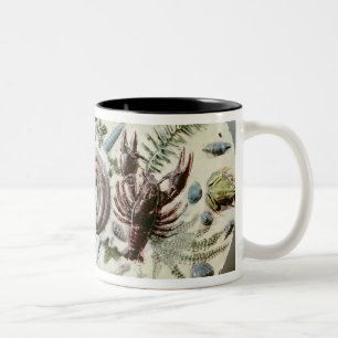 Rustique Figuline' dish with a white background Two-Tone Coffee Mug