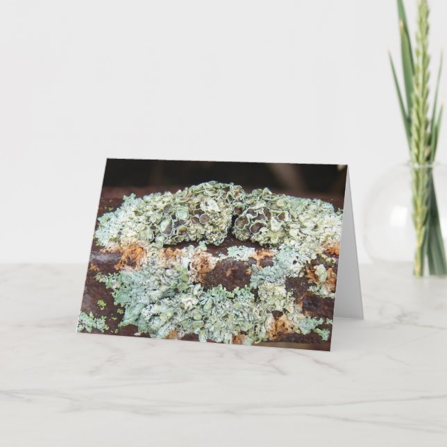 Rusty and Crusty Farm Equipment Card (Front)