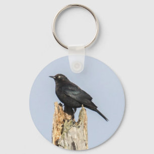 Rusty Blackbird Key Ring