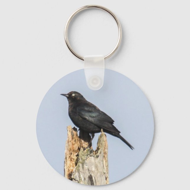 Rusty Blackbird Key Ring (Front)