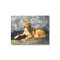 Rusty Dog