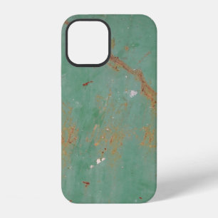 Rusty green weathered textured metal urban panel t iPhone 12 case