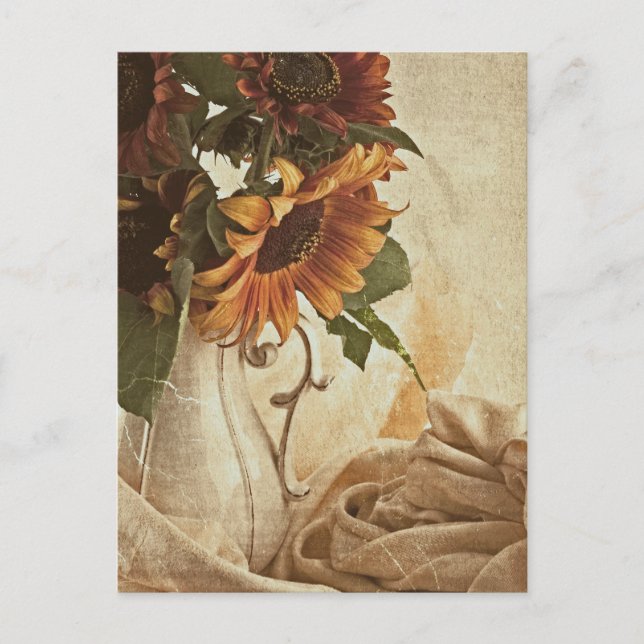 Rusty Orange Sunflowers Postcard (Front)