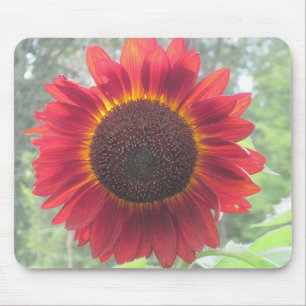 Rusty Red Sunflower Mouse Pad