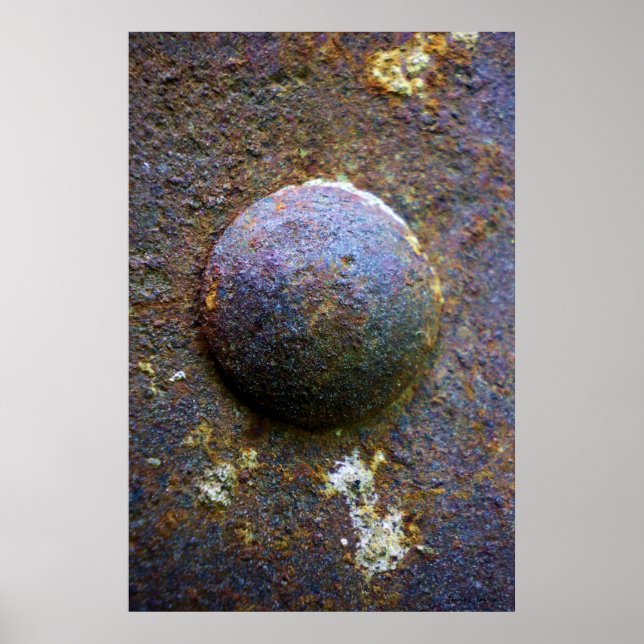 Rusty Steel Industrial Rivet Poster (Front)