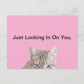 Rusty The Cat Pink Postcard