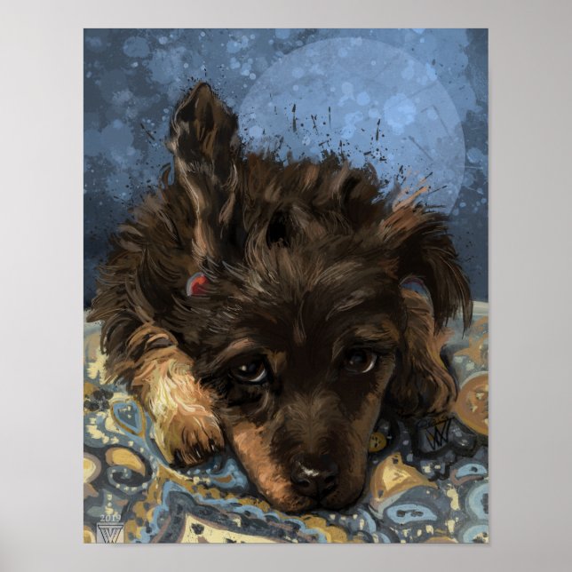 Rusty the Poodle Poster (Front)