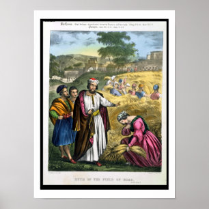 Ruth in the Field of Boaz, from a bible printed by Poster
