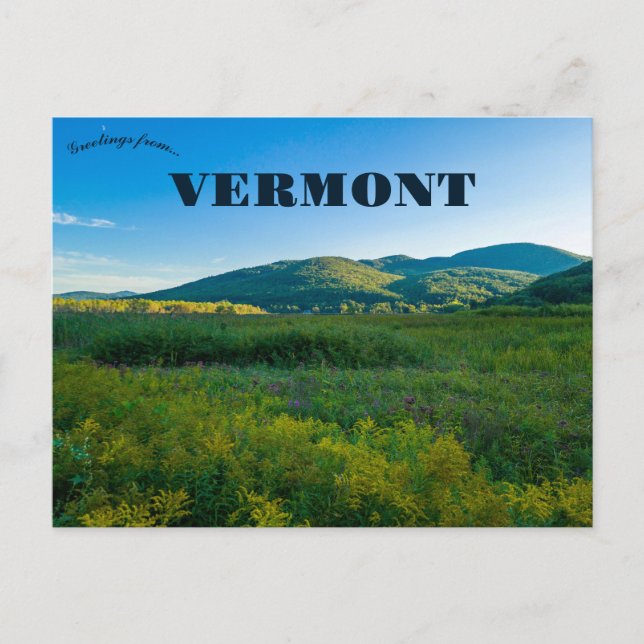 Rutland Vermont  Postcard (Front)