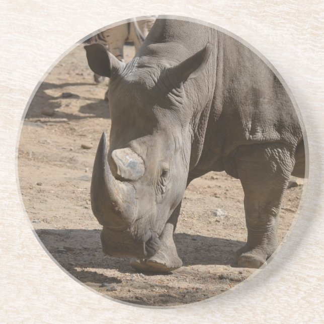 Rutting Rhino Coaster (Front)