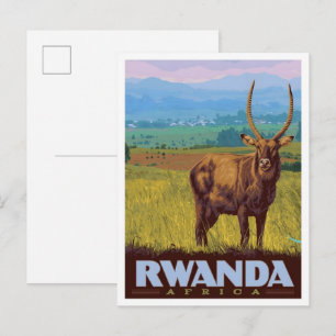 Rwanda Africa Vintage Travel  Postcard