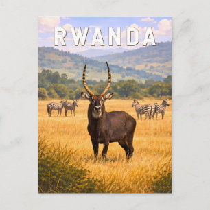 Rwanda Illustration Travel Art Vintage Postcard