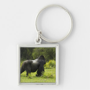 Rwanda, Volcanoes National Park Key Ring