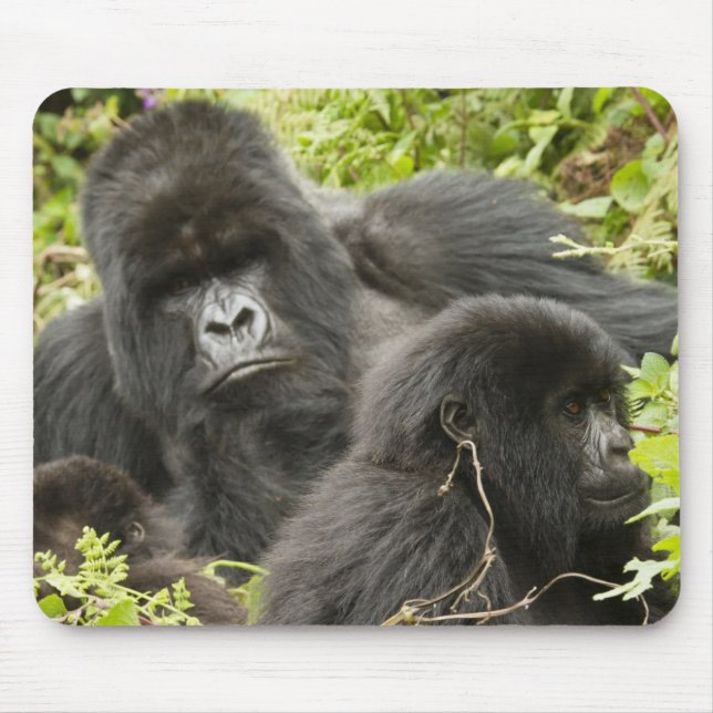 Rwanda, Volcanoes National Park Mouse Pad (Front)