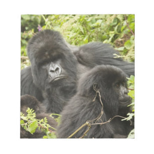 Rwanda, Volcanoes National Park Notepad