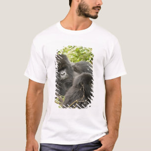 Rwanda, Volcanoes National Park T-Shirt