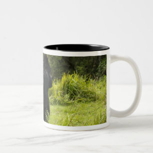 Rwanda, Volcanoes National Park Two-Tone Coffee Mug