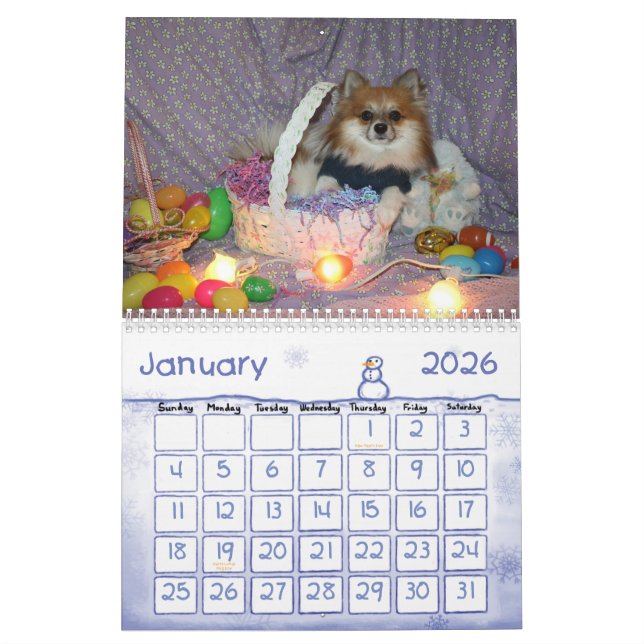 Ryder the pom Calendar (Jan 2026)