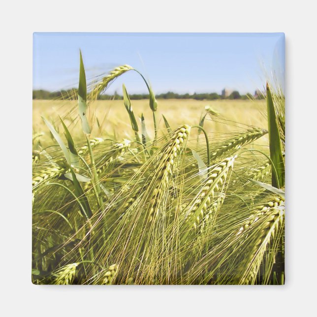 Rye Grain Botanical Nature Magnet (Front)