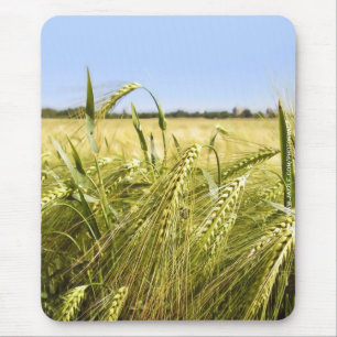 Rye Grain Botanical Nature Mouse Pad