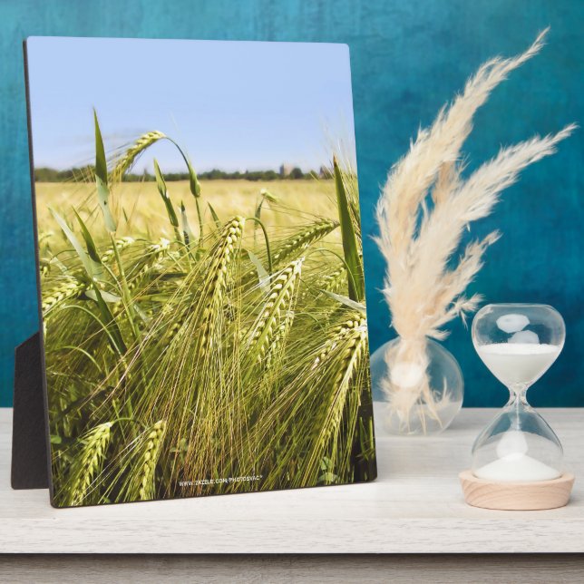 Rye Grain Botanical Nature Plaque (Side)