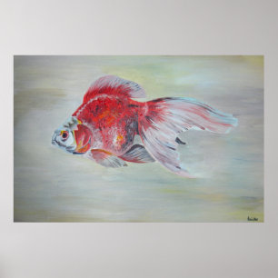 Ryukin Goldfish Acrylic Painting Poster