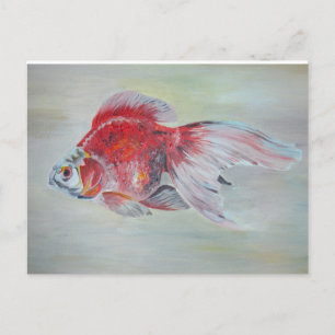 Ryukin Goldfish Postcard