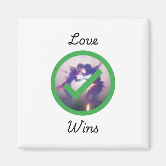 S2 Jayvik Love Wins Magnet