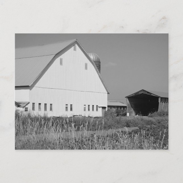 s3 postcard (Front)