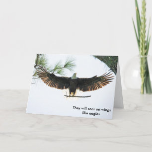 S and P Birkner Holiday Card