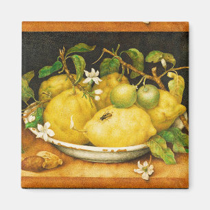 S FRUITS LEMONS AND WHITE FLOWERS MAGNET