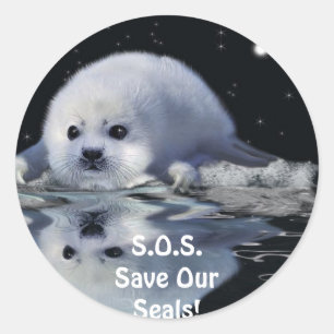 S.O.S. SAVE OUR HARP SEALS