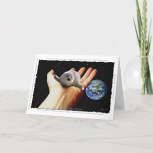 S.O.S. SAVE OUR HARP SEALS Greeting Card