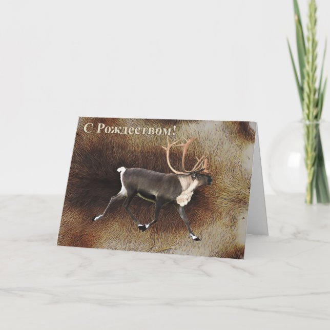 S Rozhdestvom - Bull Caribou (Reindeer) Holiday Card (Front)