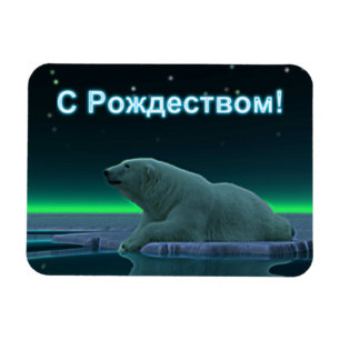 S Rozhdestvom - Ice Edge Polar Bear Magnet