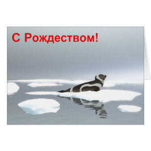 S Rozhdestvom - Ribbon Seal