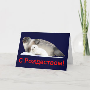 S Rozhdestvom - Ringed Seal Holiday Card