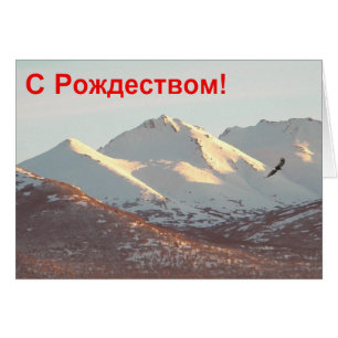 S Rozhdestvom - Winter Eagle