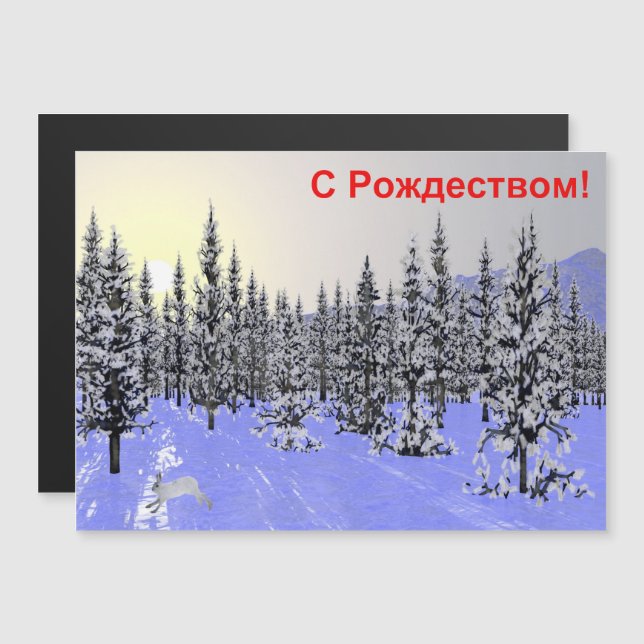 S Rozhdestvom - Winter Solstice (Front/Back)