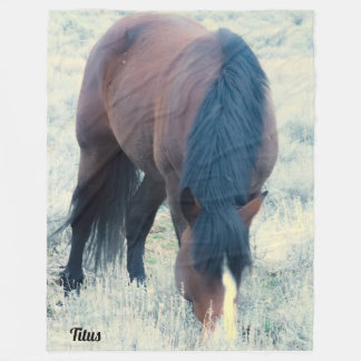 S Steens Titus Fleece Blanket