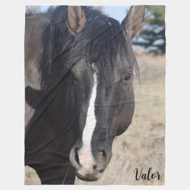S Steens Valor  Fleece Blanket (Front)