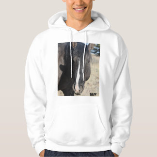 S Steens Valor  Hoodie