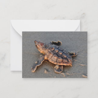 s Turtle Hatchling note card