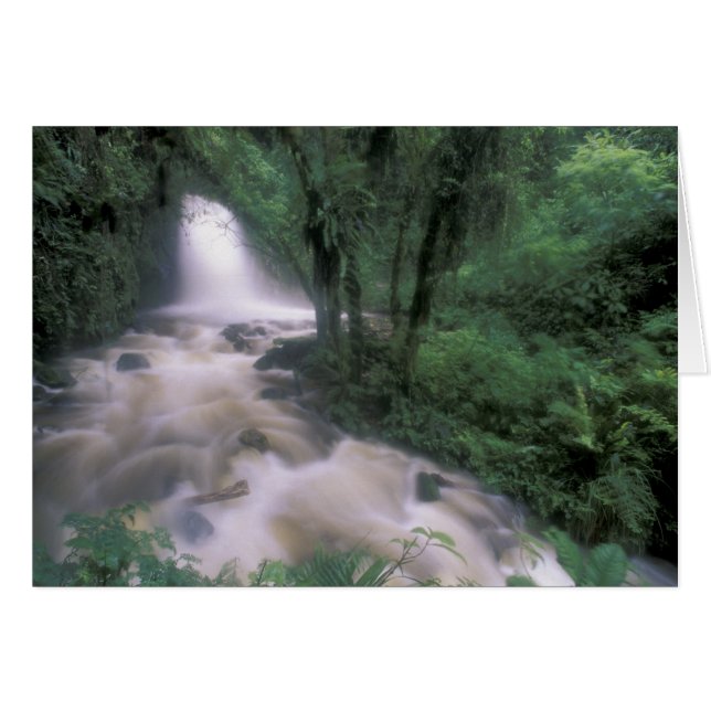 SA, Peru, S.H. Machu Picchu, Cascade and cloud (Front Horizontal)