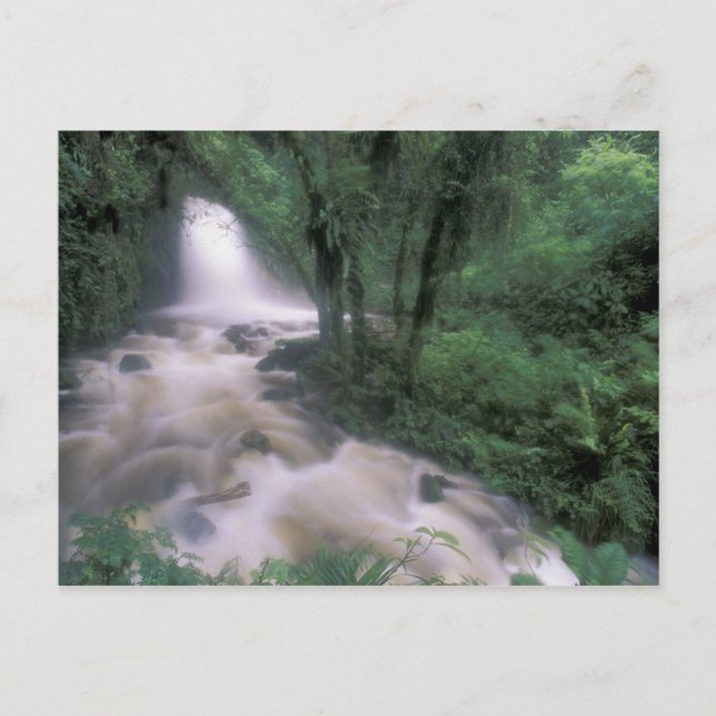 SA, Peru, S.H. Machu Picchu, Cascade and cloud Postcard (Front)
