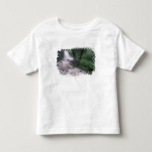 SA, Peru, S.H. Machu Picchu, Cascade and cloud Toddler T-Shirt