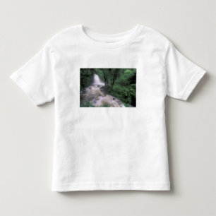 SA, Peru, S.H. Machu Picchu, Cascade and cloud Toddler T-Shirt