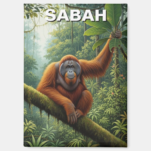 Sabah Malaysia Orangutan Travel Magnet (Front)